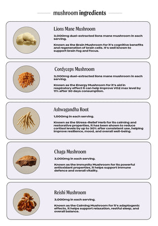 Mushroom Superblend