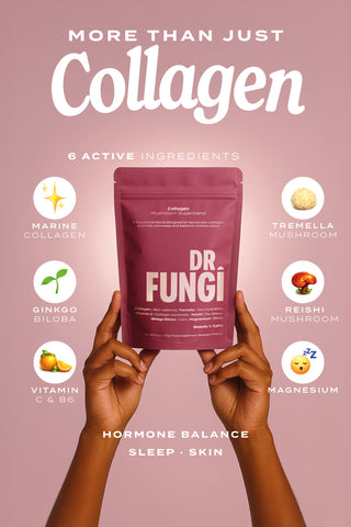 COLLAGEN MUSHROOM BLEND
