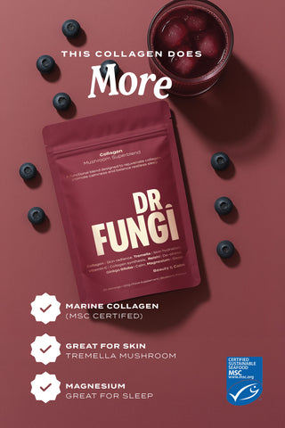 COLLAGEN MUSHROOM BLEND