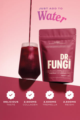 COLLAGEN MUSHROOM BLEND