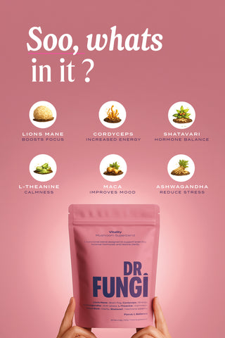 VITALITY MUSHROOM BLEND