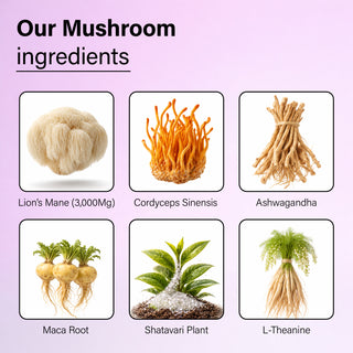 VITALITY MUSHROOM BLEND