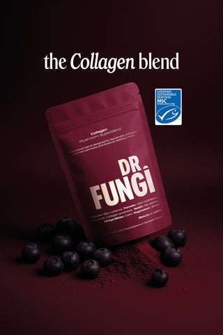 Collagen Mushroom Blend (BLACK FRIDAY EXCLUSIVE) Limited Stock