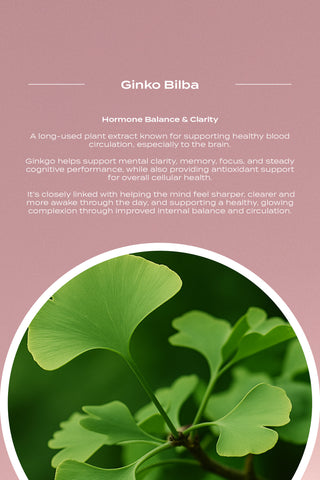 Collagen Mushroom Blend (BLACK FRIDAY EXCLUSIVE) Limited Stock