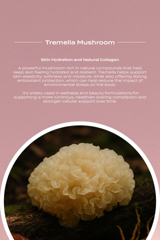 Collagen Mushroom Blend (BLACK FRIDAY EXCLUSIVE) Limited Stock