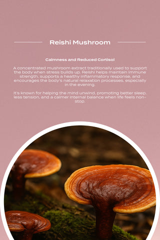 Collagen Mushroom Blend (BLACK FRIDAY EXCLUSIVE) Limited Stock