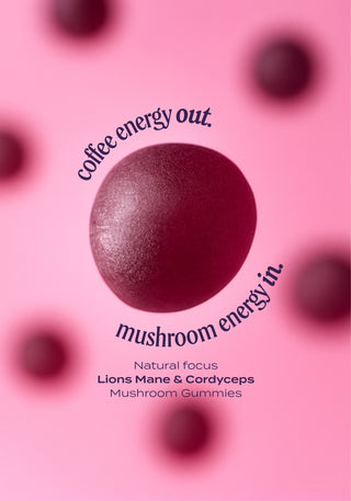 Focus Gummies | Functional Mushroom + Nootropics | Lions Mane & Cordyceps