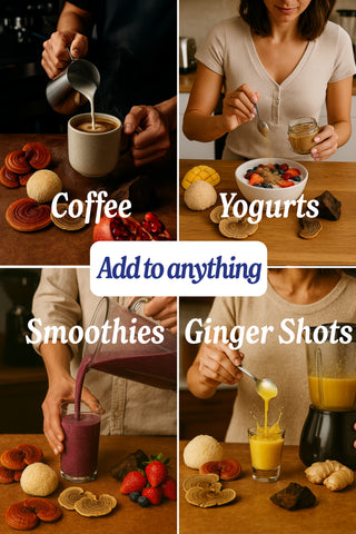 Functional Mushroom Superblend (Pre-Order)