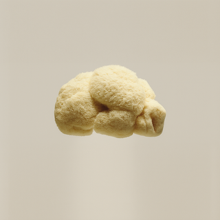 Lion's Mane - 2,000mg Raw Extract