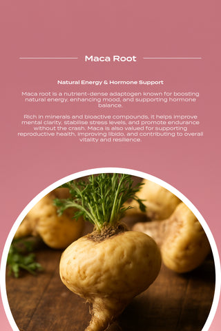 Functional Mushroom Superblend