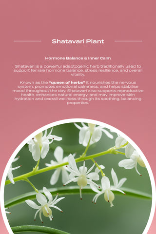 Functional Mushroom Superblend